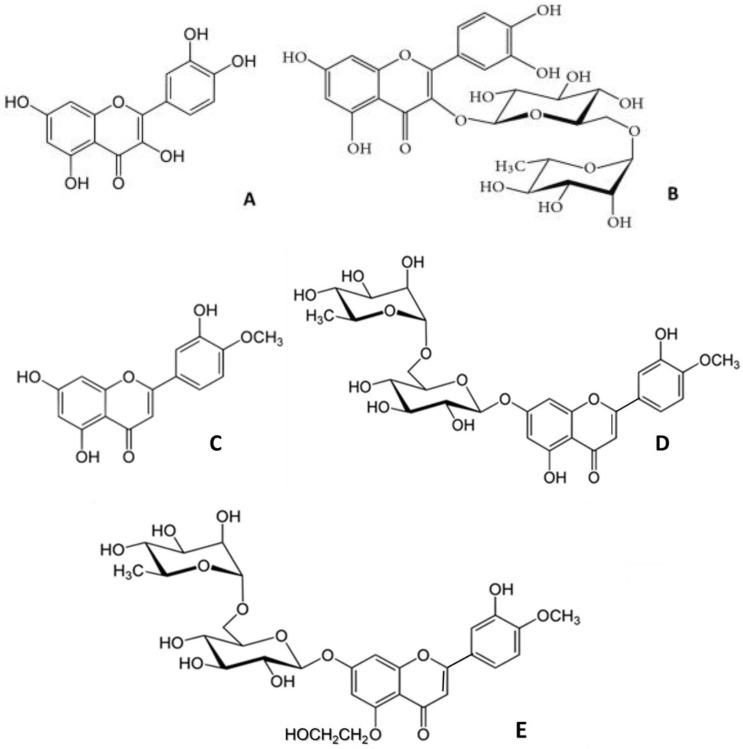 https://cdn.ncbi.nlm.nih.gov/pmc/blobs/4bd3/8839657/e4ab519001e3/molecules-27-01146-g001.jpg