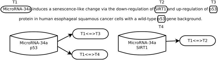 https://cdn.ncbi.nlm.nih.gov/pmc/blobs/4bd4/5338769/9e8eaa25b517/pone.0171929.g002.jpg