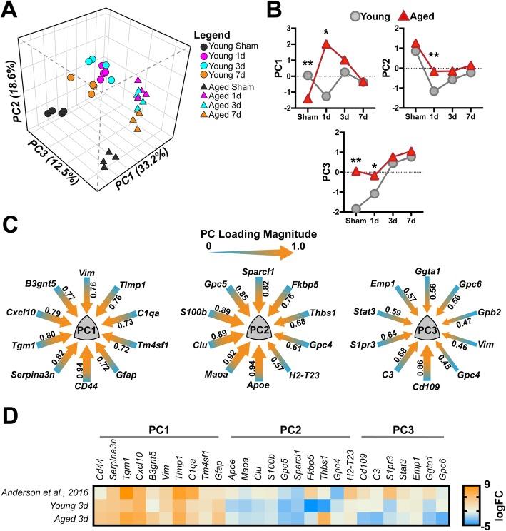 https://cdn.ncbi.nlm.nih.gov/pmc/blobs/4bd5/7158022/11f7c9fa76b1/12974_2020_1800_Fig7_HTML.jpg