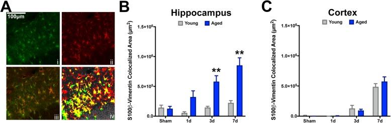 https://cdn.ncbi.nlm.nih.gov/pmc/blobs/4bd5/7158022/7bb30bb28c79/12974_2020_1800_Fig2_HTML.jpg