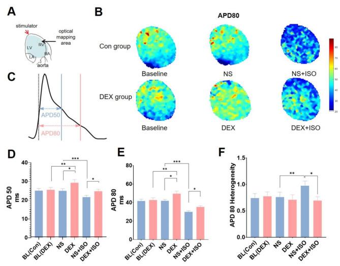 https://cdn.ncbi.nlm.nih.gov/pmc/blobs/4bd7/11576759/3a0a3d3dd709/41598_2024_79236_Fig3_HTML.jpg