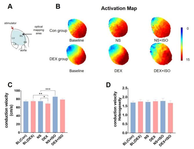 https://cdn.ncbi.nlm.nih.gov/pmc/blobs/4bd7/11576759/526955f8824b/41598_2024_79236_Fig7_HTML.jpg
