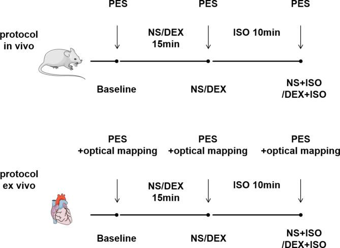 https://cdn.ncbi.nlm.nih.gov/pmc/blobs/4bd7/11576759/b20a62528b62/41598_2024_79236_Fig1_HTML.jpg