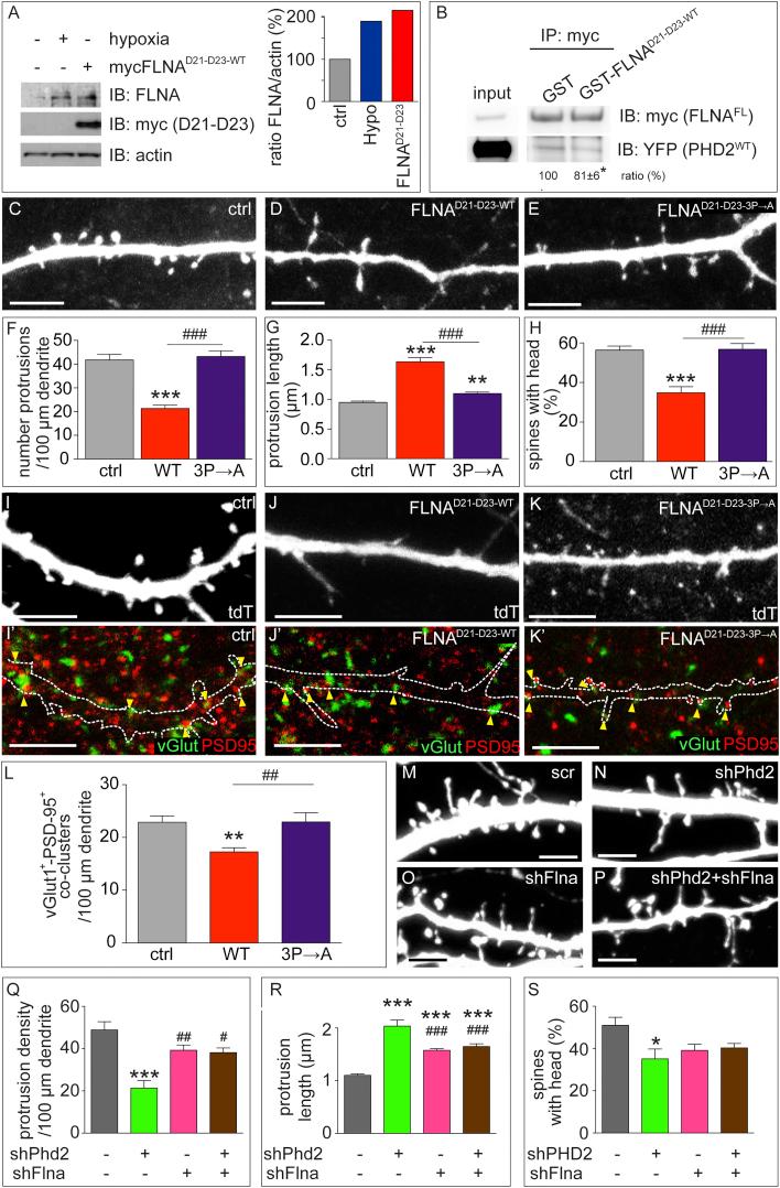 https://cdn.ncbi.nlm.nih.gov/pmc/blobs/4bd8/4805856/2d60aa714938/gr7.jpg