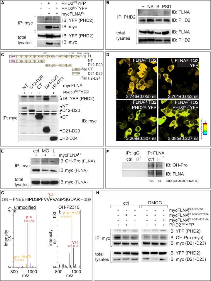 https://cdn.ncbi.nlm.nih.gov/pmc/blobs/4bd8/4805856/67b84cbdd2d9/gr5.jpg
