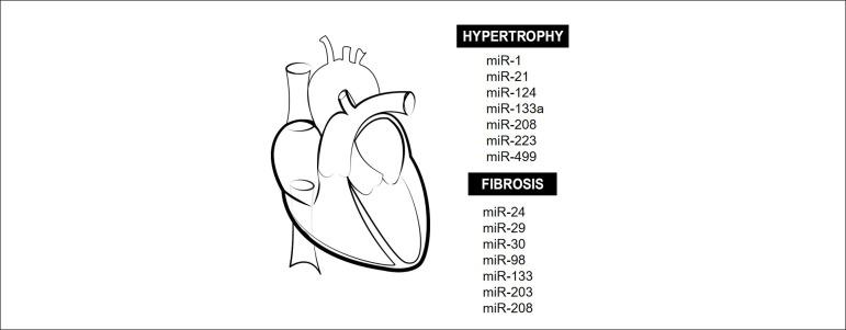 https://cdn.ncbi.nlm.nih.gov/pmc/blobs/4bda/6248252/0545187b0452/abc-111-05-0738-g03.jpg