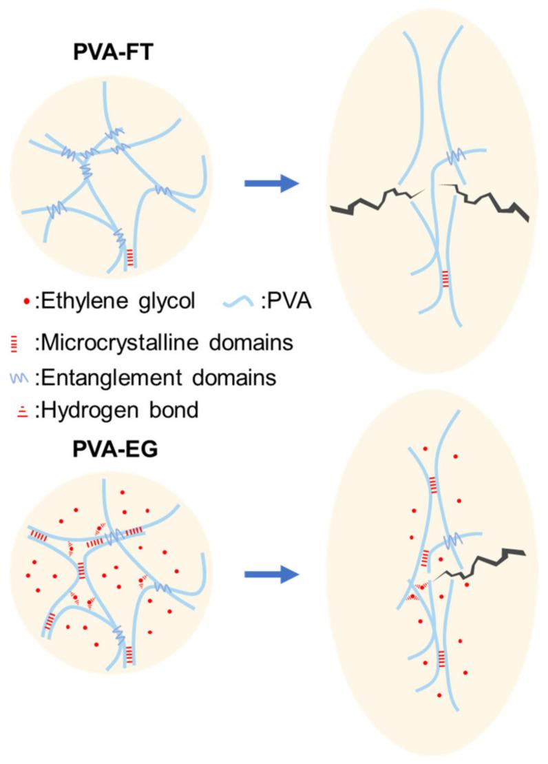 https://cdn.ncbi.nlm.nih.gov/pmc/blobs/4bdc/10536691/d064f98c3f41/polymers-15-03782-g010.jpg