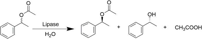 https://cdn.ncbi.nlm.nih.gov/pmc/blobs/4bdd/8899502/e5426f84bce3/fbioe-10-850890-g002.jpg