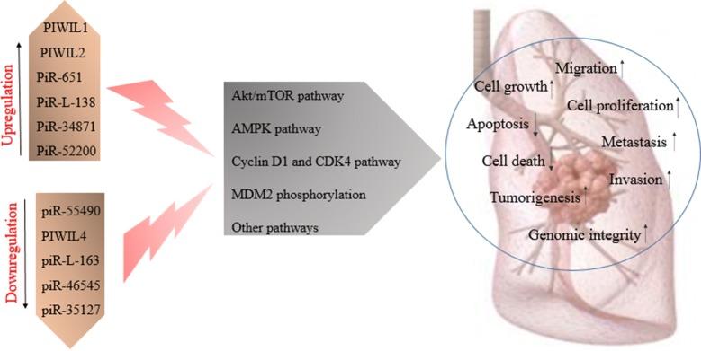 https://cdn.ncbi.nlm.nih.gov/pmc/blobs/4bdf/6925842/8e7d06827437/13578_2019_368_Fig1_HTML.jpg