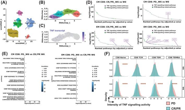 https://cdn.ncbi.nlm.nih.gov/pmc/blobs/4be1/12141980/736f7111fc01/IJC-157-534-g005.jpg