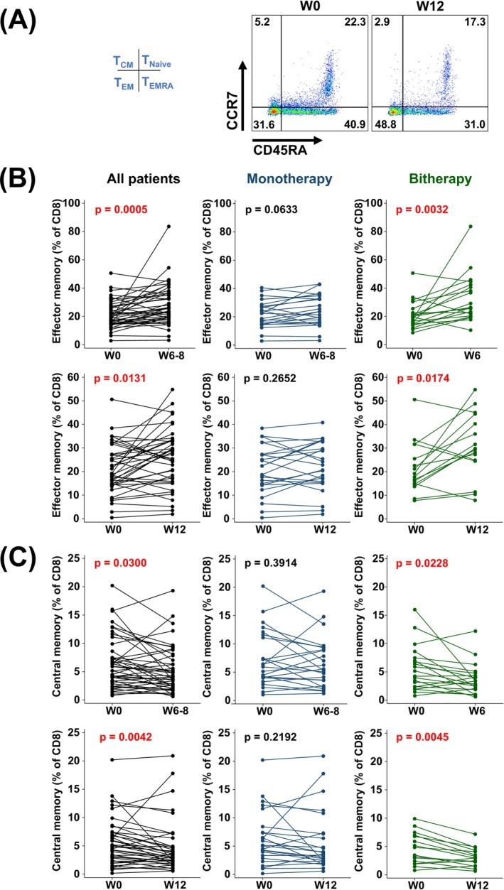 https://cdn.ncbi.nlm.nih.gov/pmc/blobs/4be1/12141980/8174832486a0/IJC-157-534-g001.jpg