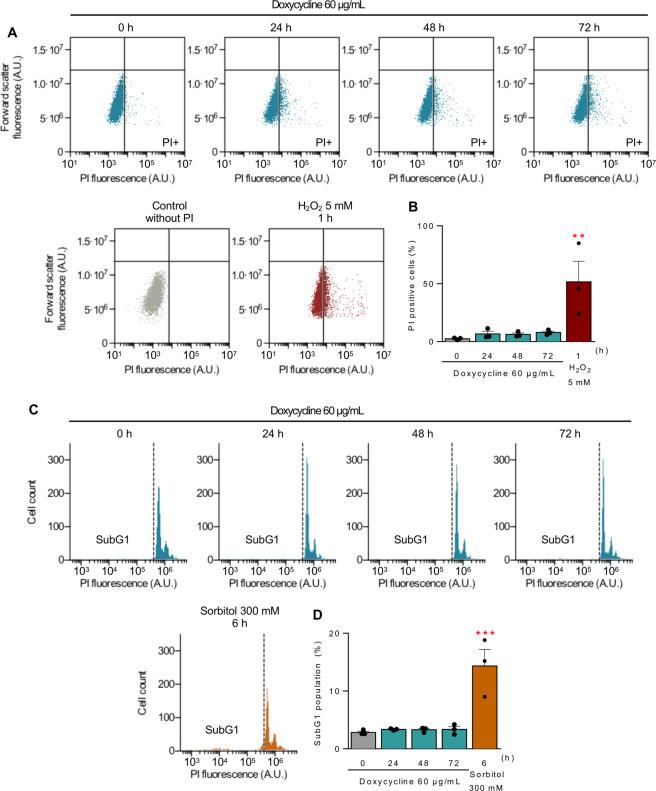 https://cdn.ncbi.nlm.nih.gov/pmc/blobs/4be1/8238934/7ce4cfff36a9/41419_2021_3945_Fig7_HTML.jpg