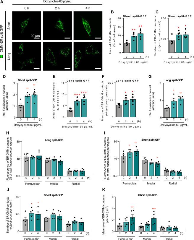 https://cdn.ncbi.nlm.nih.gov/pmc/blobs/4be1/8238934/bdd3bd0814e9/41419_2021_3945_Fig2_HTML.jpg