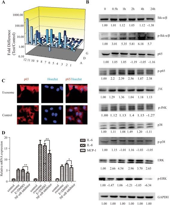 https://cdn.ncbi.nlm.nih.gov/pmc/blobs/4be2/4836087/e5a1948a3d4e/13045_2016_269_Fig4_HTML.jpg