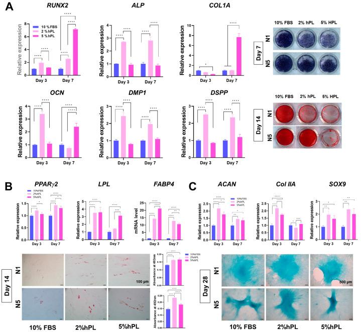 https://cdn.ncbi.nlm.nih.gov/pmc/blobs/4be3/11120611/3ab17db7f094/cells-13-00847-g004a.jpg