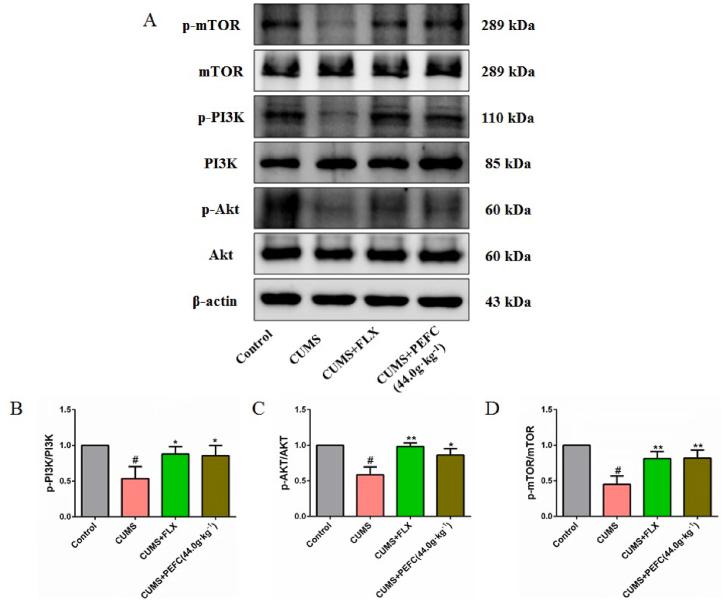 https://cdn.ncbi.nlm.nih.gov/pmc/blobs/4be6/10998071/35242ce2e651/gr10.jpg