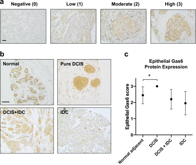 https://cdn.ncbi.nlm.nih.gov/pmc/blobs/4be6/7181799/6fe7f0178de3/41698_2020_116_Fig1_HTML.jpg