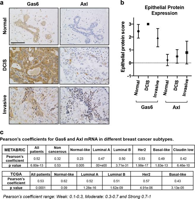 https://cdn.ncbi.nlm.nih.gov/pmc/blobs/4be6/7181799/c53e089dc26a/41698_2020_116_Fig3_HTML.jpg