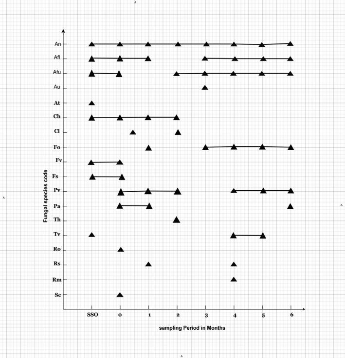 https://cdn.ncbi.nlm.nih.gov/pmc/blobs/4be7/8907750/f96058433e53/FSN3-10-888-g006.jpg