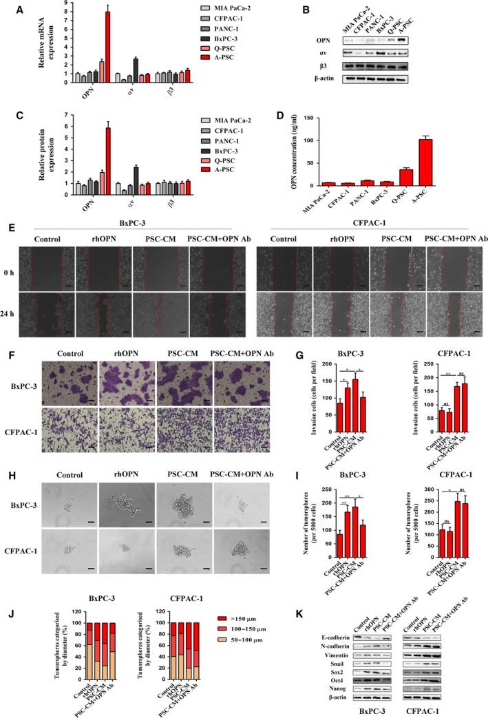 https://cdn.ncbi.nlm.nih.gov/pmc/blobs/4be8/6360359/17d1dde261af/MOL2-13-228-g003.jpg