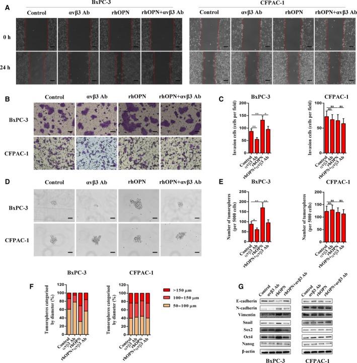 https://cdn.ncbi.nlm.nih.gov/pmc/blobs/4be8/6360359/6e6ddcb08de5/MOL2-13-228-g004.jpg