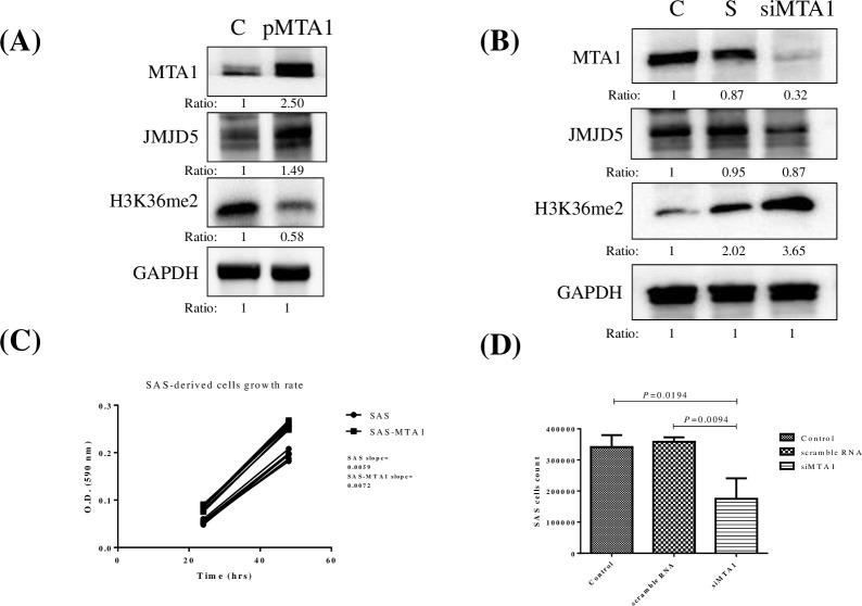 https://cdn.ncbi.nlm.nih.gov/pmc/blobs/4bec/7367477/895e90744d28/pone.0236101.g003.jpg