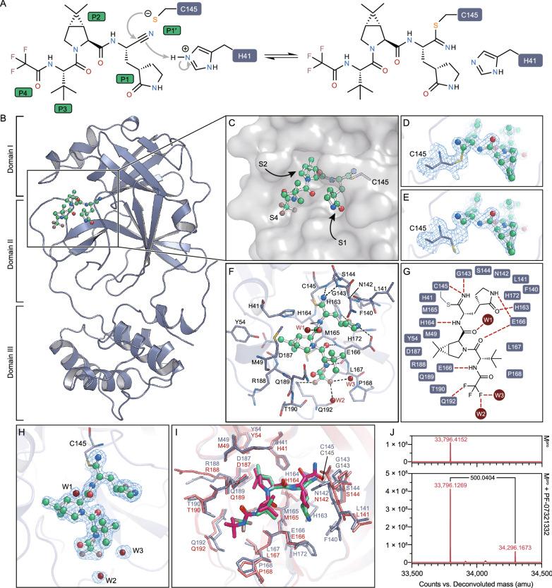 https://cdn.ncbi.nlm.nih.gov/pmc/blobs/4bed/9233717/3bae559a254c/13238_2021_883_Fig1_HTML.jpg