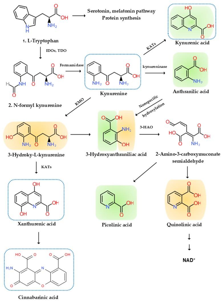 https://cdn.ncbi.nlm.nih.gov/pmc/blobs/4bee/7177899/b6ae9c291966/ijms-21-02431-g002.jpg