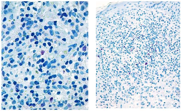 https://cdn.ncbi.nlm.nih.gov/pmc/blobs/4bee/9316398/ce87c9e0b949/diagnostics-12-01582-g001.jpg