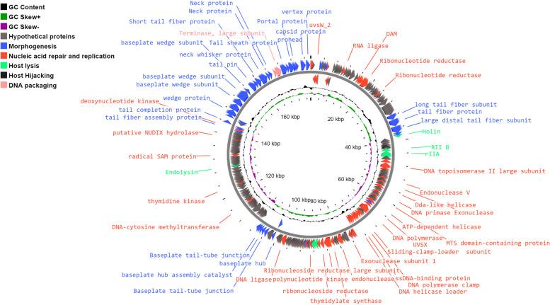 https://cdn.ncbi.nlm.nih.gov/pmc/blobs/4bf3/11477059/19ca8ba34634/12866_2024_3541_Fig4_HTML.jpg