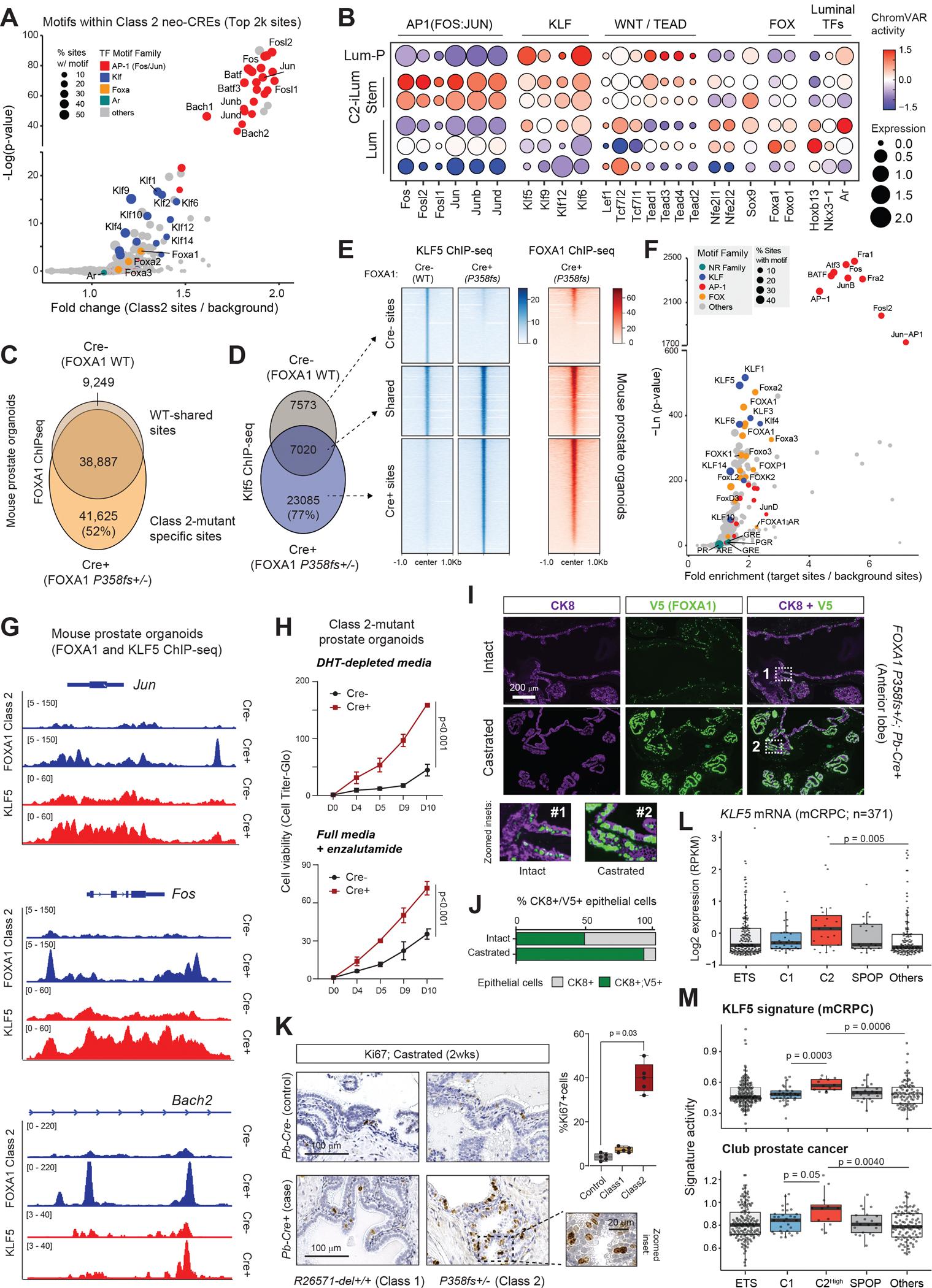 https://cdn.ncbi.nlm.nih.gov/pmc/blobs/4bf4/12326538/9d40244fd5e0/nihms-2097562-f0004.jpg