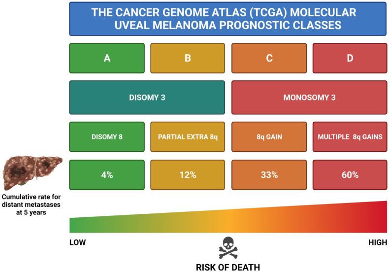 https://cdn.ncbi.nlm.nih.gov/pmc/blobs/4bf4/8749988/62937ee6278e/cancers-14-00096-g003.jpg