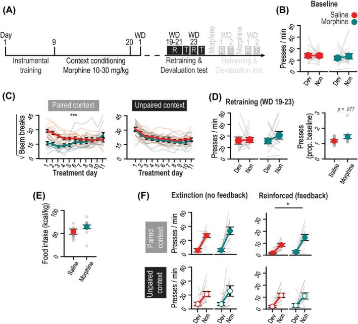 https://cdn.ncbi.nlm.nih.gov/pmc/blobs/4bf5/11070494/e4f78f1c26d7/ADB-29-e13393-g006.jpg