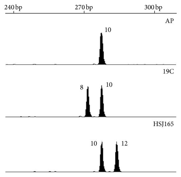 https://cdn.ncbi.nlm.nih.gov/pmc/blobs/4bf9/4334858/d72bf2c8bb09/BMRI2015-148343.002.jpg