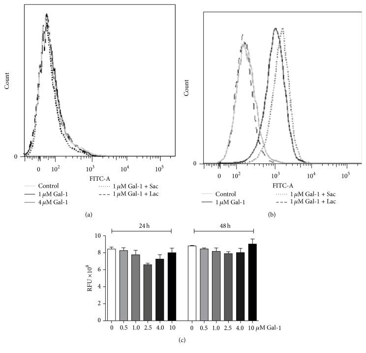 https://cdn.ncbi.nlm.nih.gov/pmc/blobs/4bfb/5028869/358f5ccbc4c4/MI2016-5813794.006.jpg