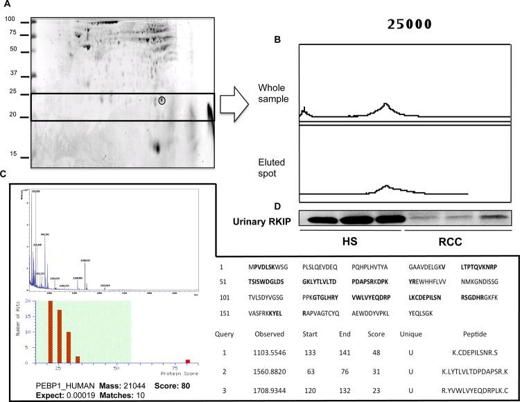 https://cdn.ncbi.nlm.nih.gov/pmc/blobs/4bfb/5522321/26c28ddf3d2f/oncotarget-08-40412-g002.jpg