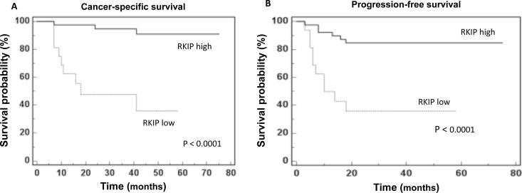 https://cdn.ncbi.nlm.nih.gov/pmc/blobs/4bfb/5522321/faffe73bb6ce/oncotarget-08-40412-g005.jpg
