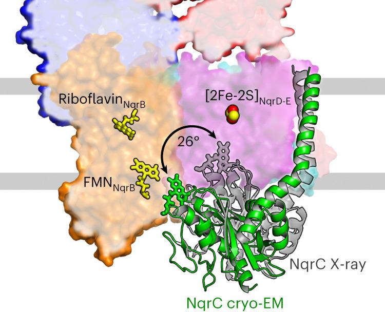 https://cdn.ncbi.nlm.nih.gov/pmc/blobs/4bfe/10643135/3623ca436199/41594_2023_1099_Fig3_HTML.jpg