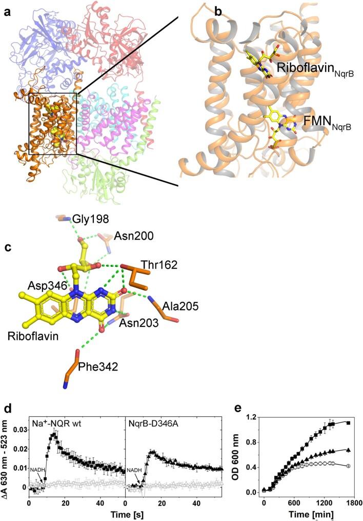 https://cdn.ncbi.nlm.nih.gov/pmc/blobs/4bfe/10643135/ad1753800b35/41594_2023_1099_Fig12_ESM.jpg