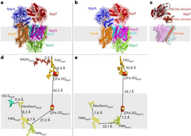 https://cdn.ncbi.nlm.nih.gov/pmc/blobs/4bfe/10643135/dd41adf6b23d/41594_2023_1099_Fig1_HTML.jpg