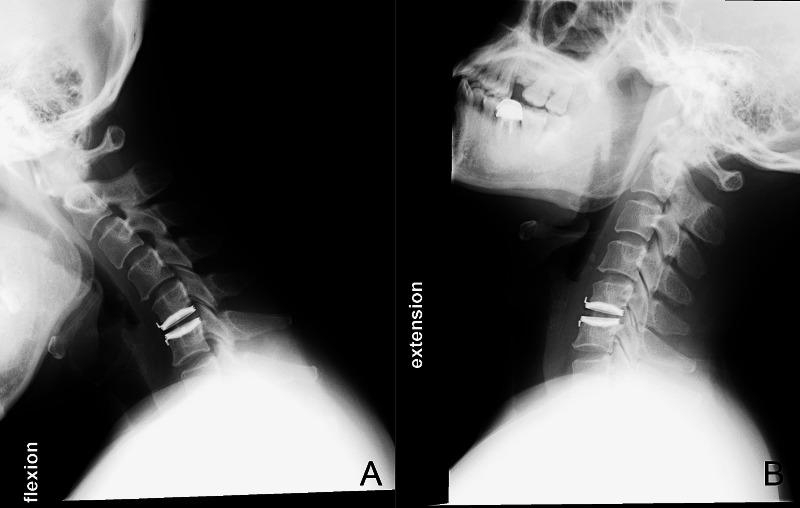 https://cdn.ncbi.nlm.nih.gov/pmc/blobs/4bfe/3519406/ea5d091c25df/ebsj03059-003.jpg