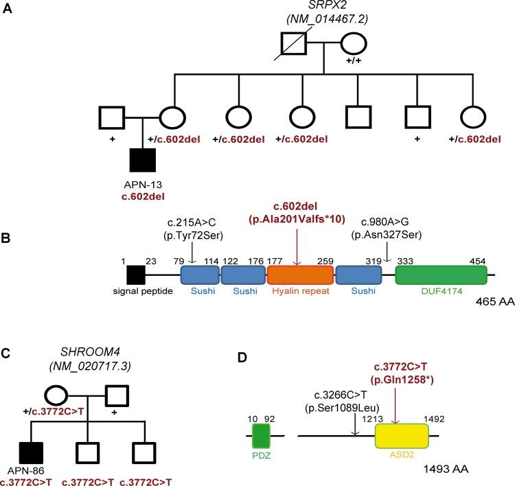 https://cdn.ncbi.nlm.nih.gov/pmc/blobs/4bfe/4215287/18318187ad2d/jmedgenet-2014-102554f02.jpg