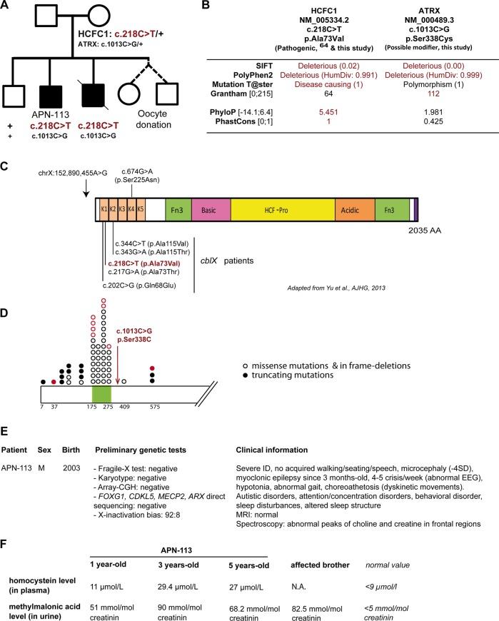 https://cdn.ncbi.nlm.nih.gov/pmc/blobs/4bfe/4215287/aa53f4423890/jmedgenet-2014-102554f03.jpg