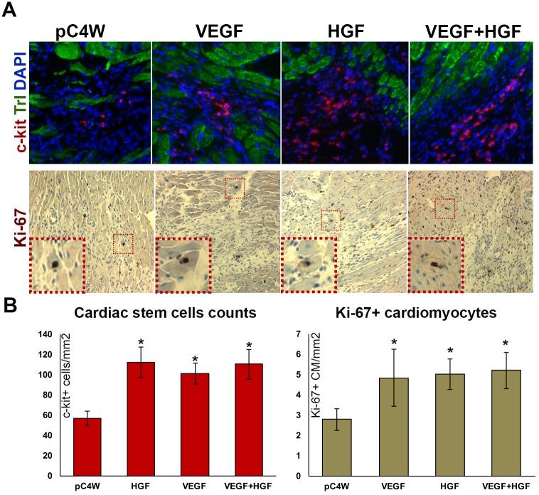 https://cdn.ncbi.nlm.nih.gov/pmc/blobs/4bff/5963747/71d9ea277b13/pone.0197566.g003.jpg