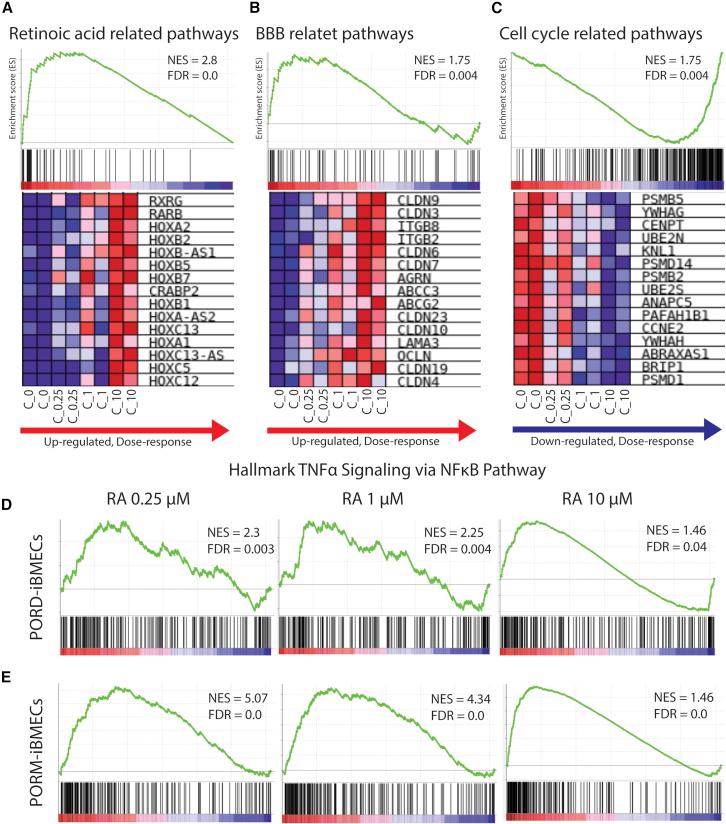 https://cdn.ncbi.nlm.nih.gov/pmc/blobs/4bff/9481905/9694731d66ec/gr6.jpg