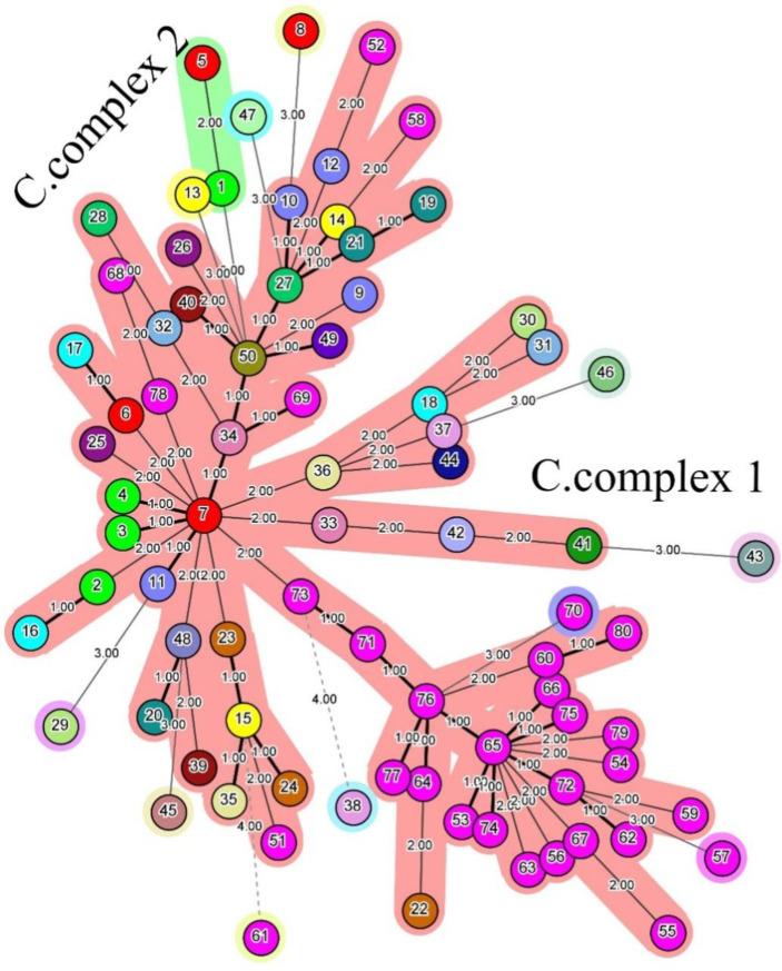 https://cdn.ncbi.nlm.nih.gov/pmc/blobs/4c00/8215070/2b17434ecfa8/IJPH-49-2409-g002.jpg