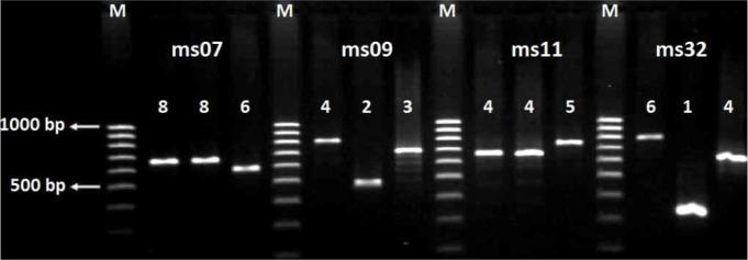 https://cdn.ncbi.nlm.nih.gov/pmc/blobs/4c00/8215070/c1456c2a5f36/IJPH-49-2409-g001.jpg