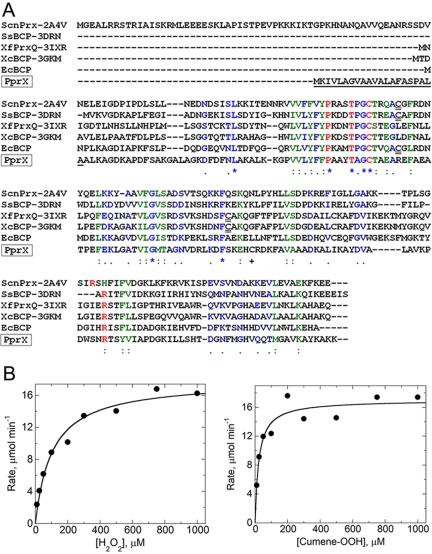 https://cdn.ncbi.nlm.nih.gov/pmc/blobs/4c04/3322552/67f6cf277708/mbo0021212560004.jpg