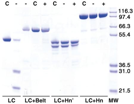 https://cdn.ncbi.nlm.nih.gov/pmc/blobs/4c05/2943925/2eb65284e206/pone.0012872.g008.jpg