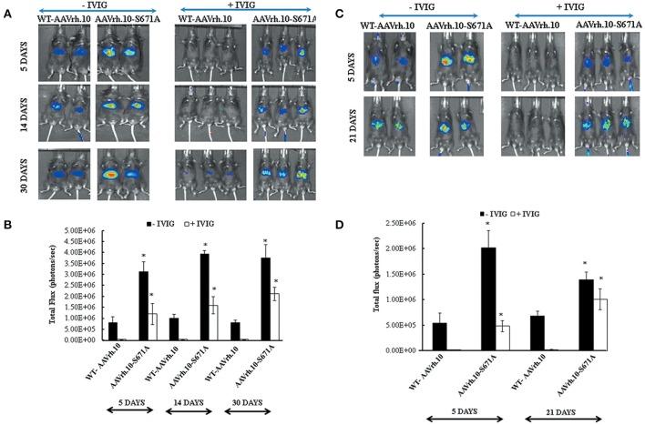https://cdn.ncbi.nlm.nih.gov/pmc/blobs/4c06/5511854/699aca184229/fphar-08-00441-g0004.jpg